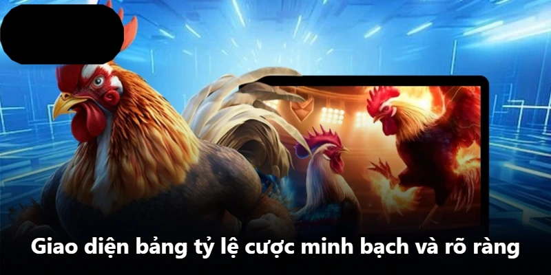 Giao diện bảng tỷ lệ cược minh bạch và rõ ràng Giao diện bảng tỷ lệ cược minh bạch và rõ ràng