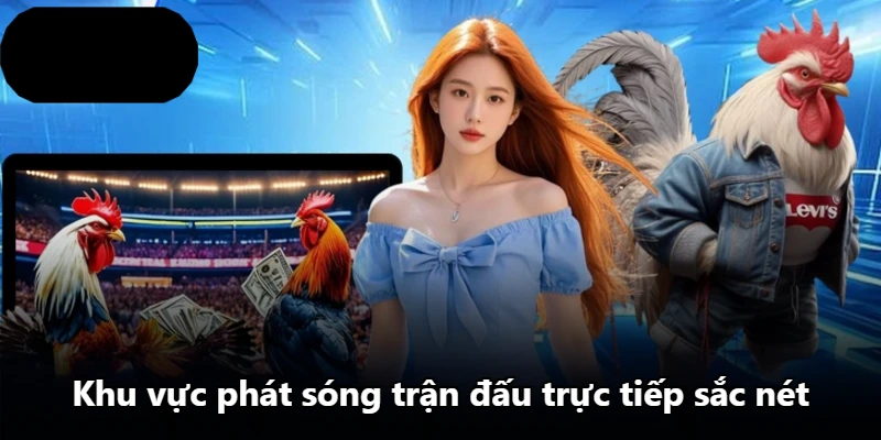 Khu vực phát sóng trận đấu trực tiếp sắc nét Khu vực phát sóng trận đấu trực tiếp sắc nét